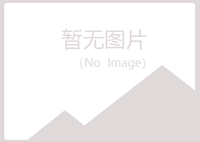 马山县夏日金属有限公司